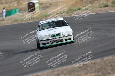 media/May-03-2025-Lucky Dog Racing (Sat) [[206de64b9d]]/Turn 4 A (3pm-4pm)/